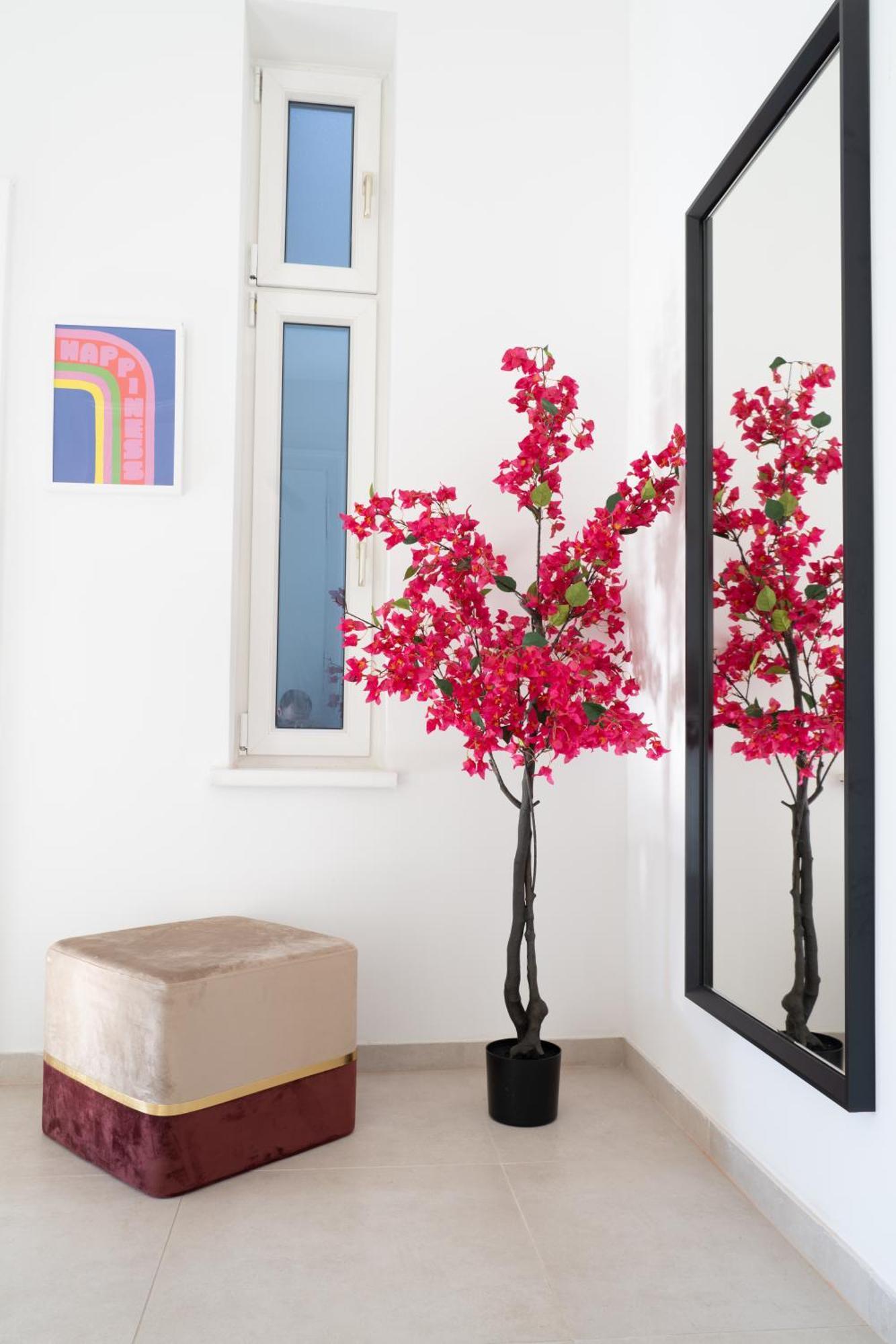 Apartment Rochus Stylish